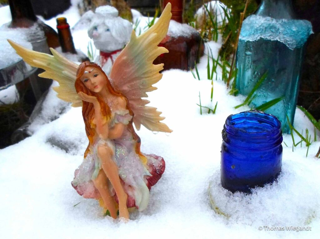 Snow-Fairy